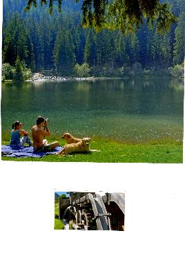 Holiday Apartment in peio (Trento) or holiday homes and vacation rentals