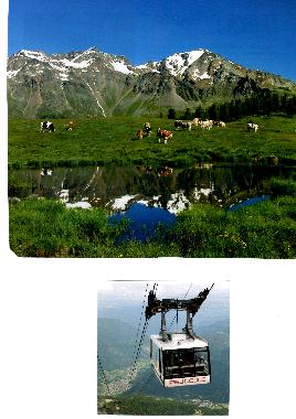 Holiday Apartment in peio (Trento) or holiday homes and vacation rentals