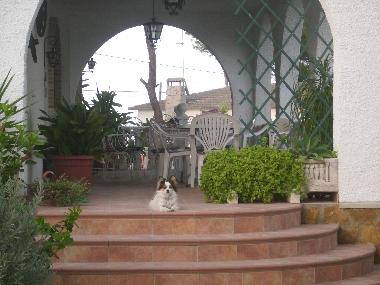 Holiday House in Pinar de Campoverde (Alicante / Alacant) or holiday homes and vacation rentals