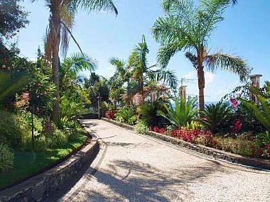 Villa in Funchal (Madeira) or holiday homes and vacation rentals