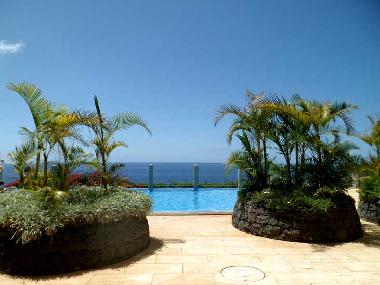 Holiday Apartment in Funchal (Madeira) or holiday homes and vacation rentals