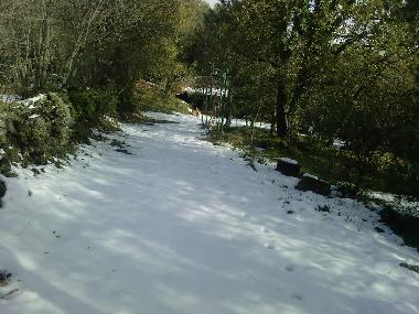 Holiday Apartment in Zafferana Etnea (Catania) or holiday homes and vacation rentals