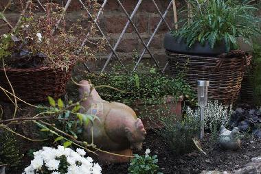 Holiday Apartment in COLMAR (Haut-Rhin) or holiday homes and vacation rentals