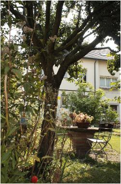 Holiday Apartment in COLMAR (Haut-Rhin) or holiday homes and vacation rentals