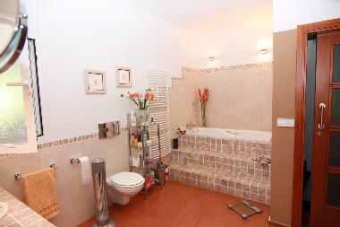 Villa in Denia (Alicante / Alacant) or holiday homes and vacation rentals