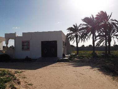 Holiday Apartment in DJERBA (Madanin) or holiday homes and vacation rentals