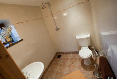 Holiday House in Camelford (South West) or holiday homes and vacation rentals