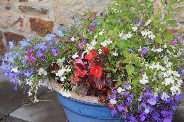 Holiday House in Camelford (South West) or holiday homes and vacation rentals