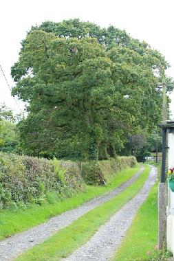 Holiday House in Camelford (South West) or holiday homes and vacation rentals