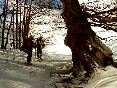 Discover the beauty of winter!