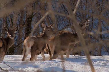 Sometimes you can meet some special friends...