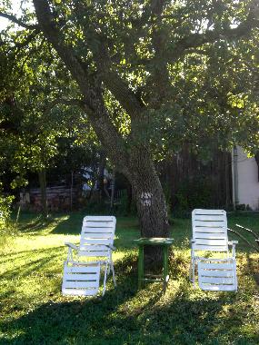 Holiday House in Szalaf� (Vas) or holiday homes and vacation rentals