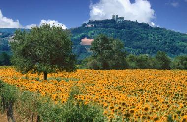 Holiday House in Vzelay (Yonne) or holiday homes and vacation rentals