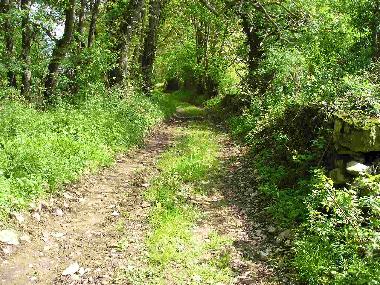 Holiday House in Vzelay (Yonne) or holiday homes and vacation rentals