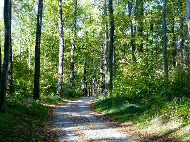 Holiday Apartment in Koserow (Ostsee-Inseln) or holiday homes and vacation rentals