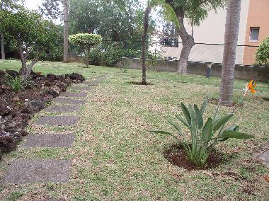 Bed and Breakfast in Funchal (Madeira) or holiday homes and vacation rentals