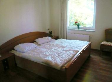 Holiday Apartment in Willingen/Upland - Fewo E am Kurpark (Sauerland) or holiday homes and vacation rentals
