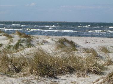 Holiday Apartment in Prerow (Fischland-Dar-Zingst) or holiday homes and vacation rentals