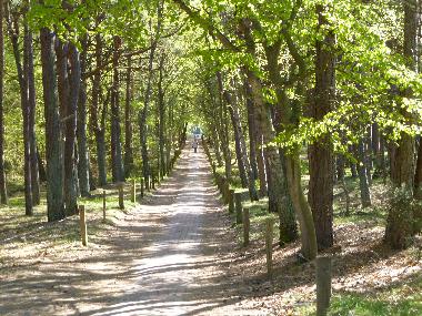 Holiday Apartment in Prerow (Fischland-Dar-Zingst) or holiday homes and vacation rentals