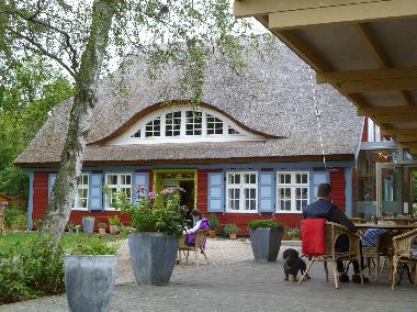 Holiday Apartment in Prerow (Fischland-Dar-Zingst) or holiday homes and vacation rentals