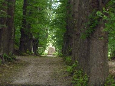 Holiday Apartment in Juliusruh (Ostsee-Inseln) or holiday homes and vacation rentals