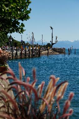 Holiday Apartment in Markdorf (Lake of Constance) or holiday homes and vacation rentals