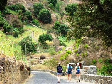 Bed and Breakfast in Ponta do Sol (Ribeira Grande) or holiday homes and vacation rentals