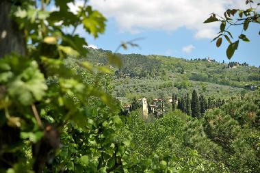 Holiday Apartment in Reggello-Fi (Firenze) or holiday homes and vacation rentals