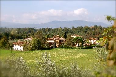 Holiday Apartment in Reggello-Fi (Firenze) or holiday homes and vacation rentals