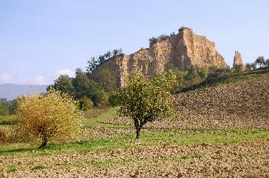 Holiday Apartment in Reggello-Fi (Firenze) or holiday homes and vacation rentals