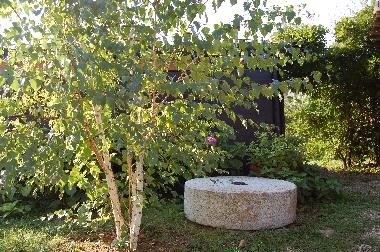 Holiday Apartment in Reggello-Fi (Firenze) or holiday homes and vacation rentals