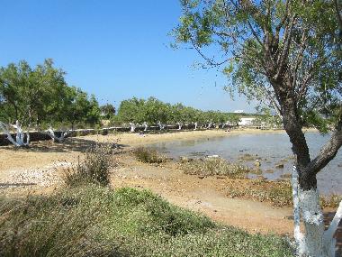 Holiday House in Antiparos (Kyklades) or holiday homes and vacation rentals