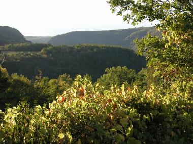 Holiday House in Penne, Cordes, Vaour, Gaillac, Montauban, St. Anto (Tarn) or holiday homes and vacation rentals