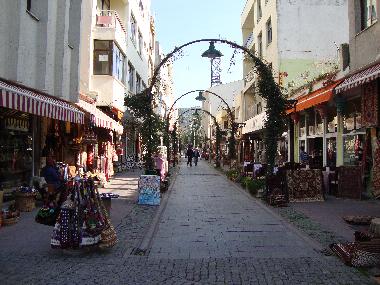 Villa in Selcuk, Izmir (Izmir) or holiday homes and vacation rentals