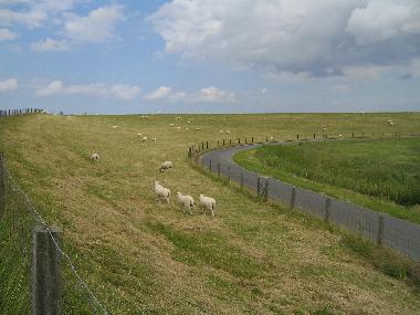 Holiday House in Nemersiel (Nordsee-Festland / Ostfriesland) or holiday homes and vacation rentals