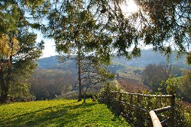Garden and View