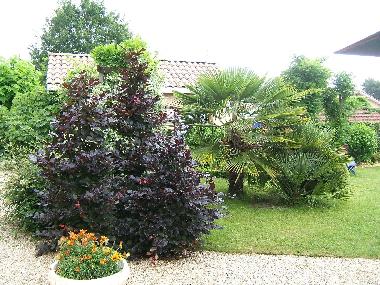 Holiday Apartment in st m�dard en jalles (Gironde) or holiday homes and vacation rentals