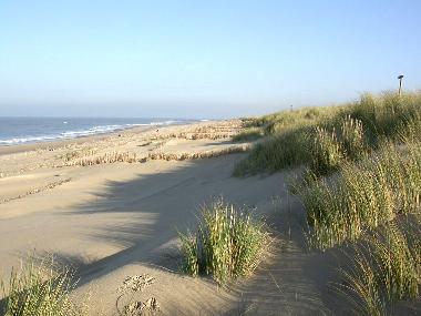 Holiday House in De Cocksdorp (Noord-Holland) or holiday homes and vacation rentals