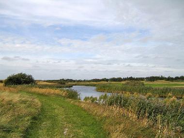Holiday House in De Cocksdorp (Noord-Holland) or holiday homes and vacation rentals