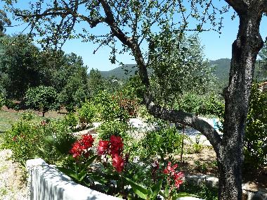 garden and hills at background