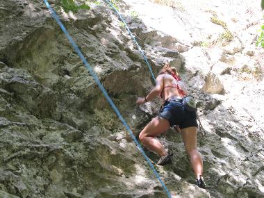 Holiday House in sancel (Sibiu) or holiday homes and vacation rentals