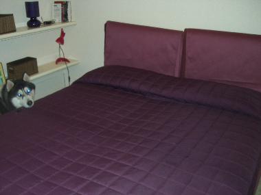 Holiday Apartment in naples (Napoli) or holiday homes and vacation rentals