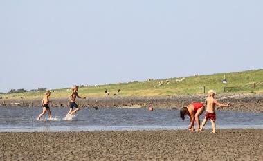 Holiday Apartment in Tossens (Nordsee-Festland / Ostfriesland) or holiday homes and vacation rentals