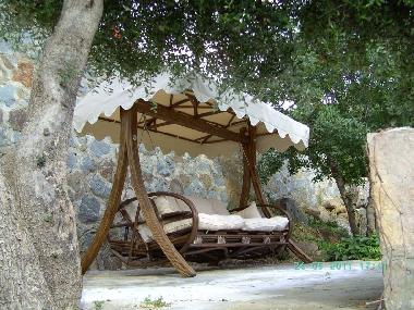 the swing ! UNIQUE on site !!!