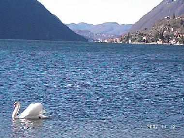 Holiday Apartment in Porlezza (Como) or holiday homes and vacation rentals