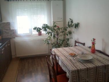 Holiday House in sancel (Sibiu) or holiday homes and vacation rentals