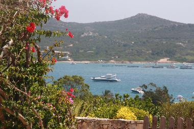 Villa in 20169 (Corse-du-Sud) or holiday homes and vacation rentals