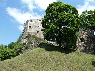 Holiday Apartment in Trusetal (Thuringian forest) or holiday homes and vacation rentals