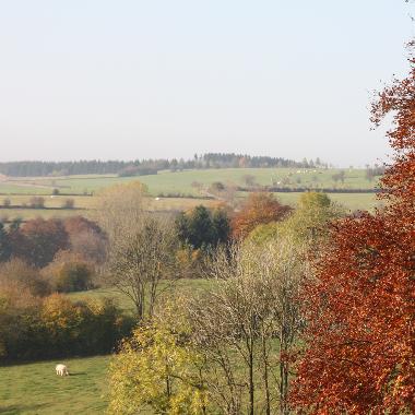 Holiday House in Bllingen (Wallonia) or holiday homes and vacation rentals