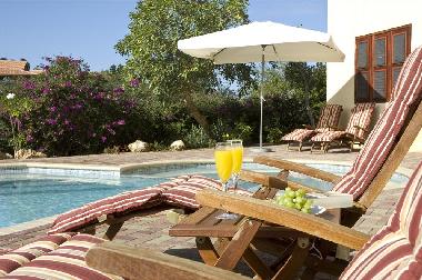 Villa in Willemstad (Curacao) or holiday homes and vacation rentals
